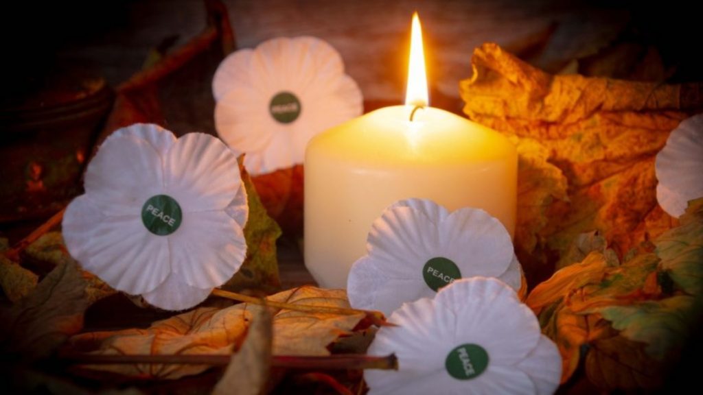 What do White Poppies mean on Remembrance Day?