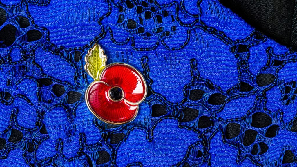 Poppy Virtual background for Remembrance on Teams and Zoom
