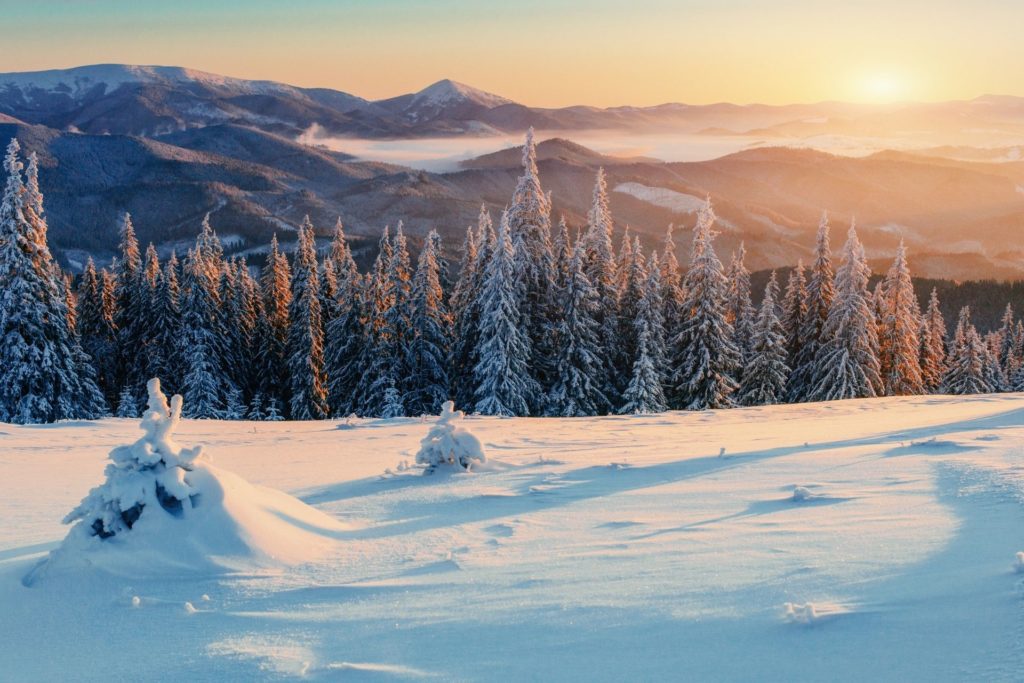 Snowy scenic winter virtual background
