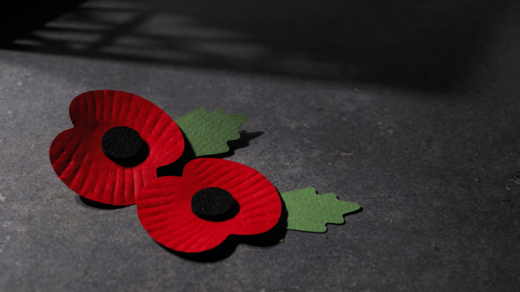 Poppy Virtual background for Remembrance on Teams and Zoom